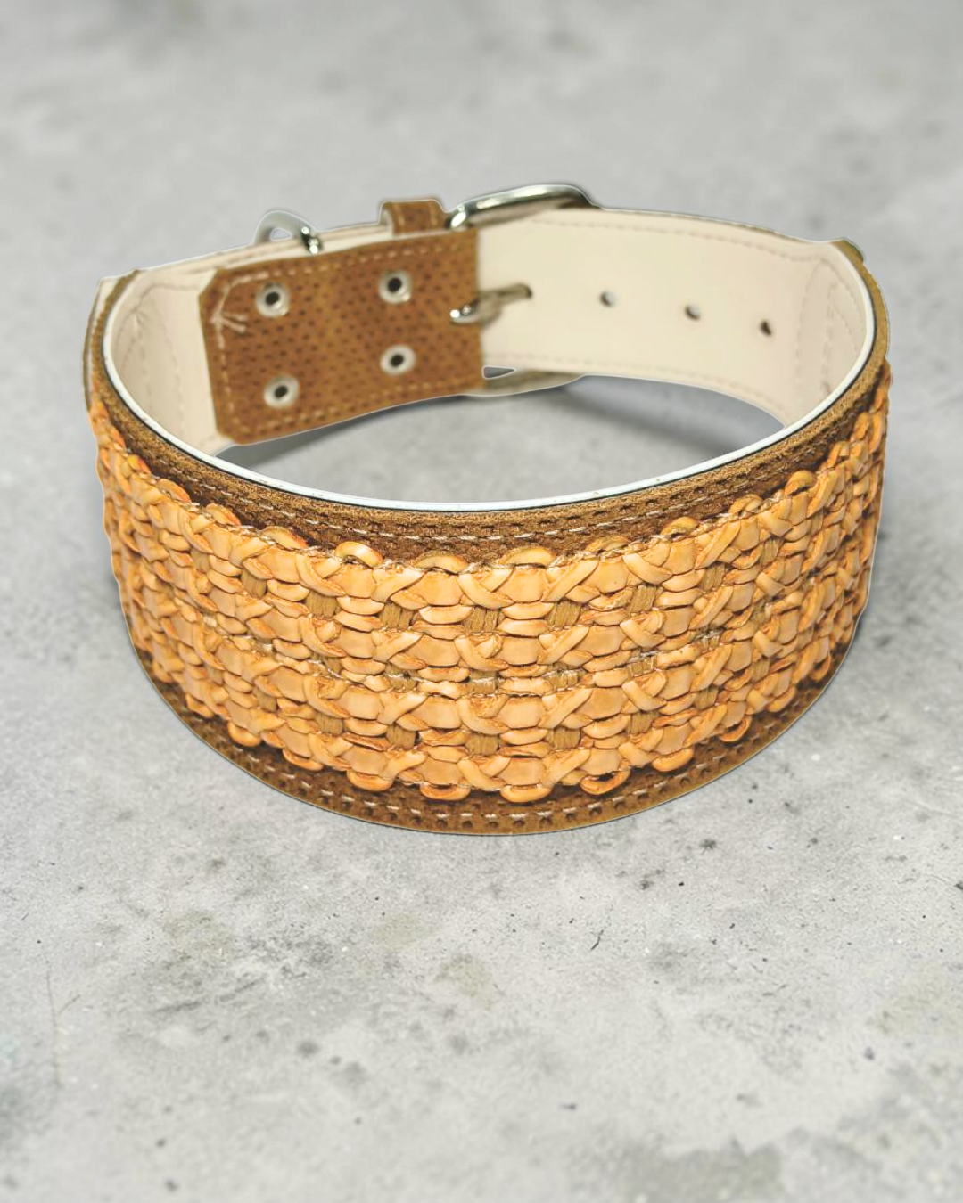 1305 - Coleira Mr Collie - Tamanho GG