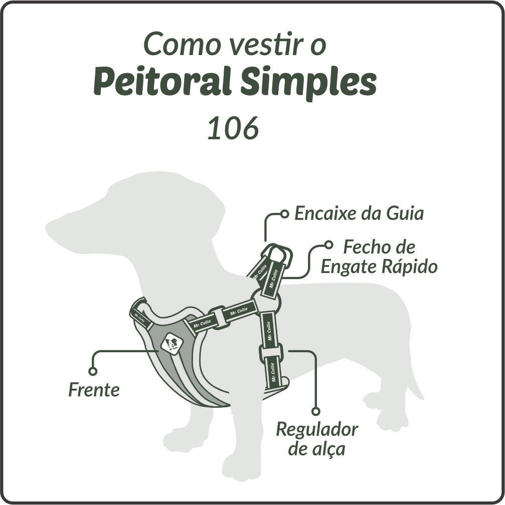 1013 - Peitoral Simples - G
